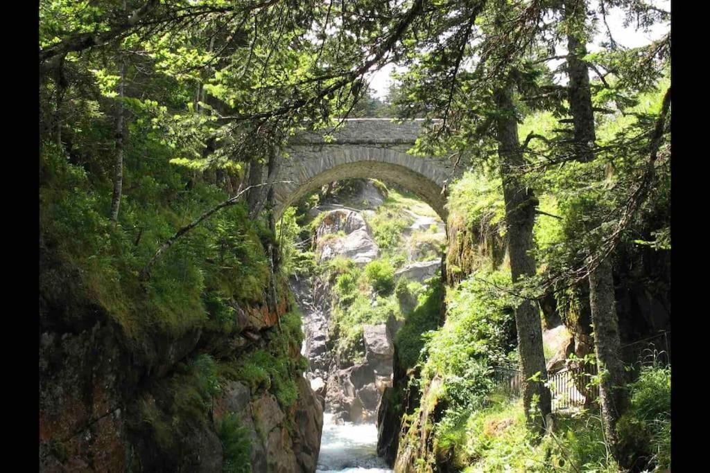 Chaleureux Studio Familal "Lougrand Iii" Cauterets Eksteriør bilde